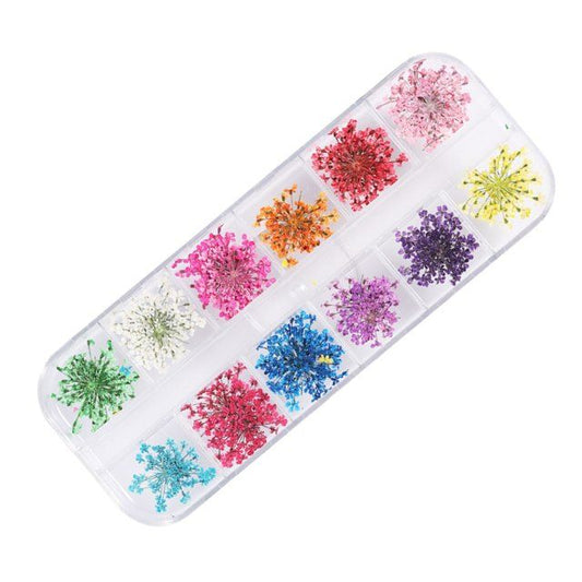 Kit Flor Seca com 12